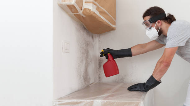 Professional Mold Inspection And Testing technician working in Maple City, MI