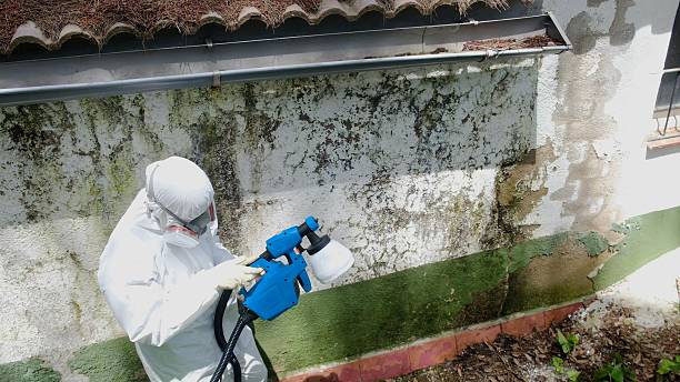 Top rated local Mold Inspection And Testing specialists in Maple City, MI